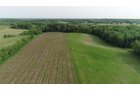 Van Buren County, Michigan farmland - LAND AUCTION - 194+/- ACRES OFFERED IN 5 TRACTS IN VAN BUREN COUNTY, MICHIGAN